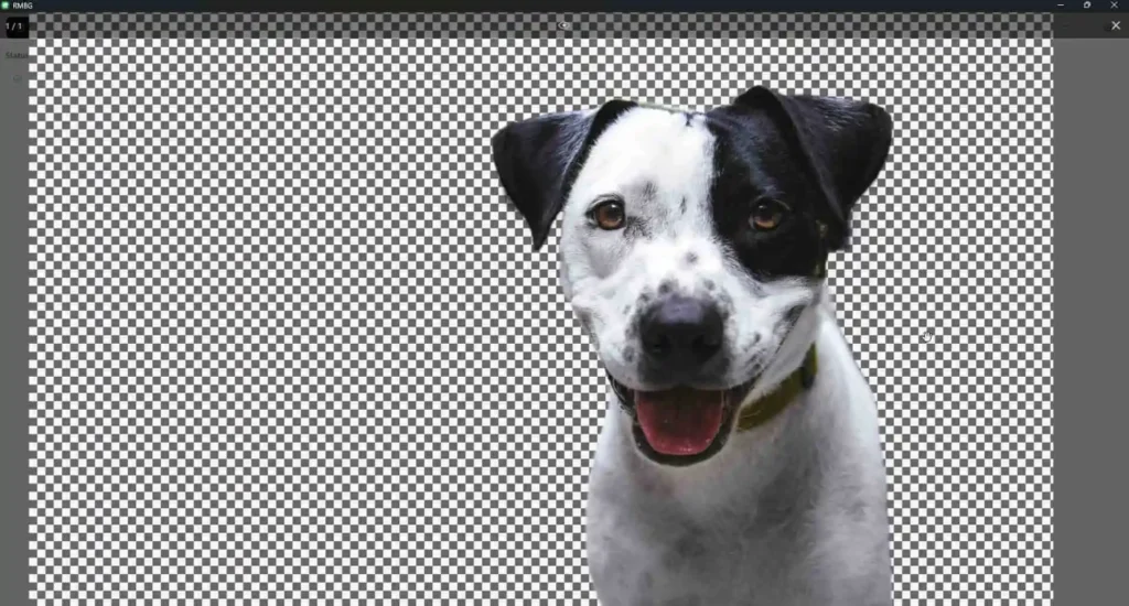 Remove BG offline free