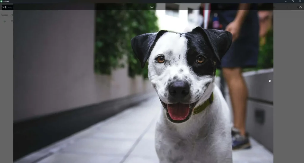 Free Offline BG Remover