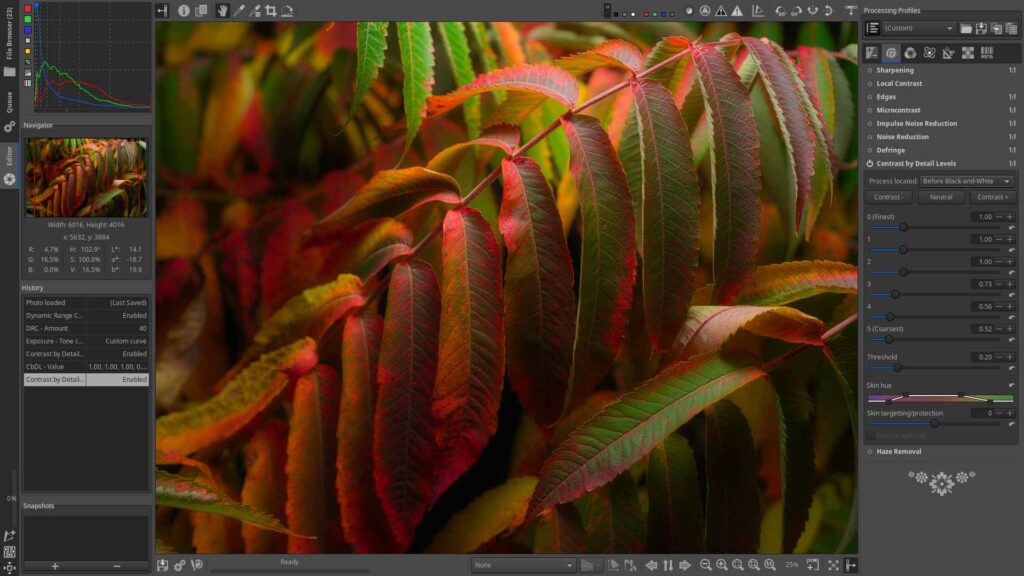 Professional RAW Photo Editing Software