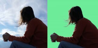 MatAnyone 2 Does What CapCut and Adobe Struggle With Remove Video Backgrounds Without Destroying Hair