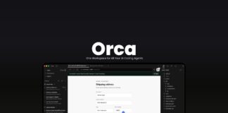 orca ai desktop